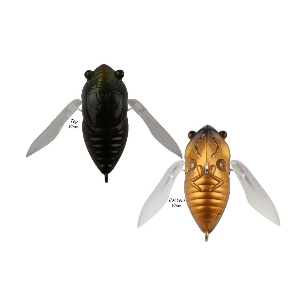 Atomic Hardz Cicada Surface Lure 35mm Black Christmas Beetle