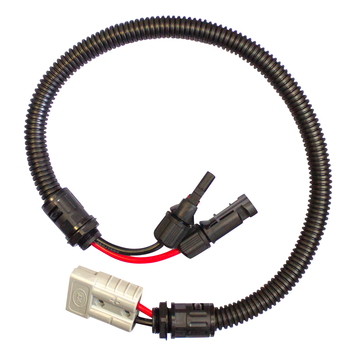 KT Cables MC4 To 50AConnector with 600mm Lead