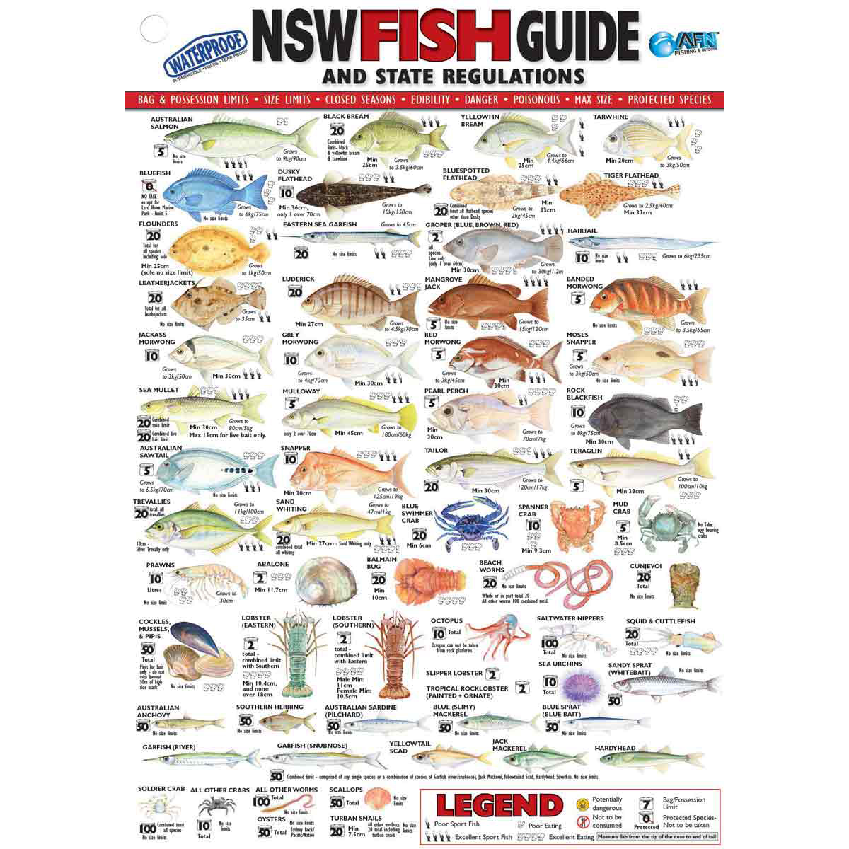 AFN Fish ID NSW Maps/Guides