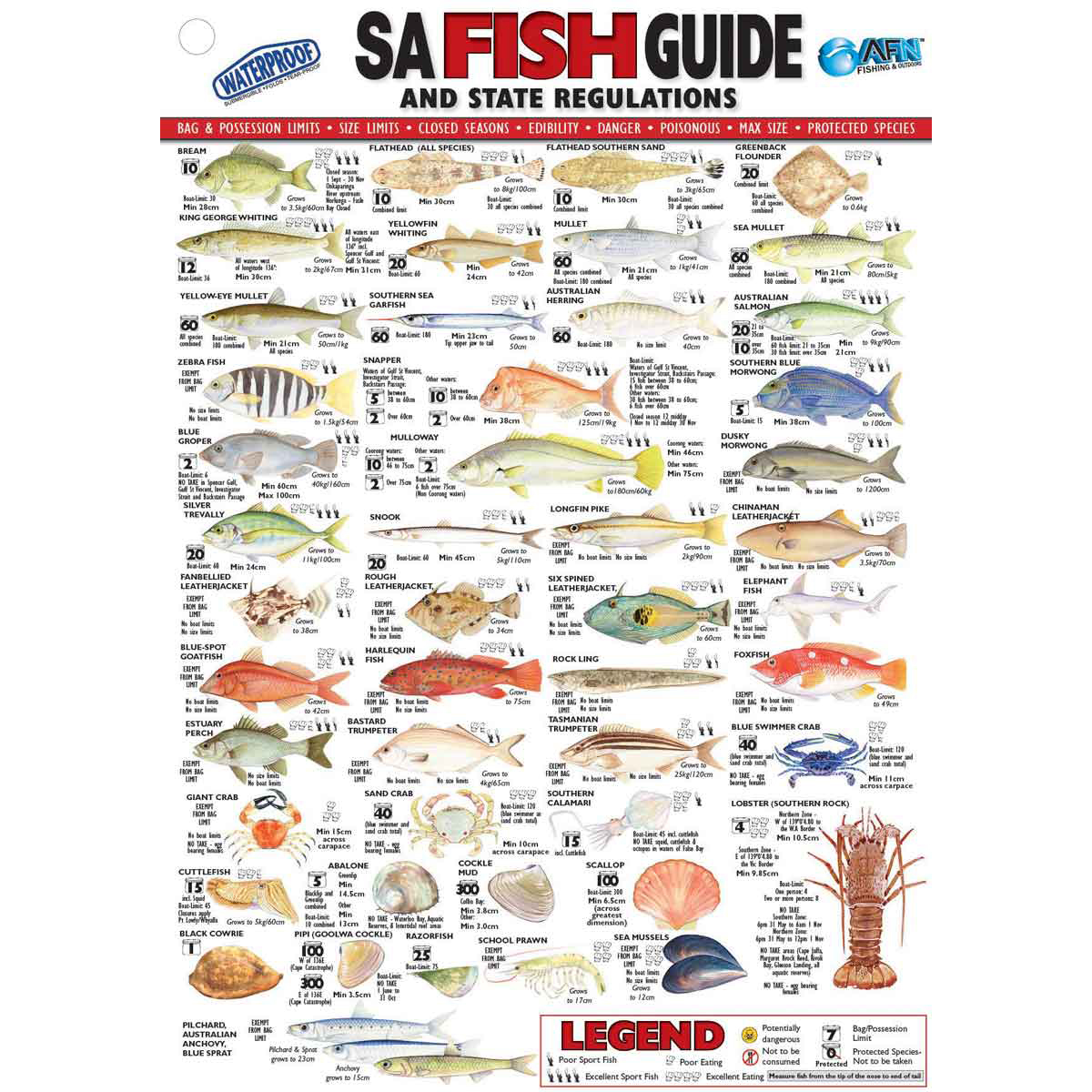 AFN Fish ID SA Books