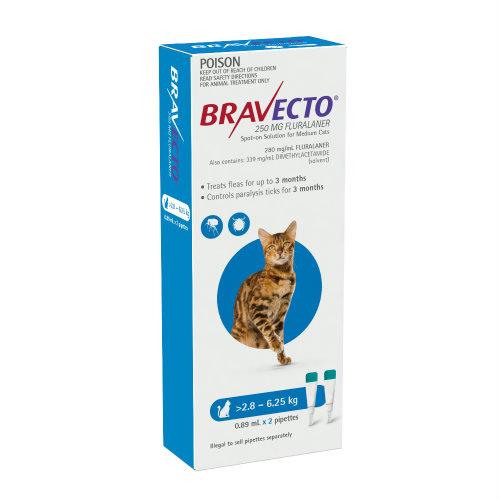 Bravecto Cat Medium 2.8-6.25kg Blue Spot On Treatment 2 pack