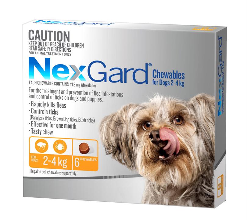 NEXGARD FOR DOGS 2-4KG - Orange 6 Pack