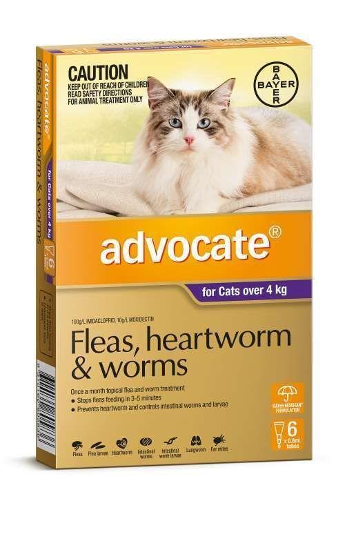 Advocate Spot-On Flea & Worm Control for Cats over 4kg - 6 Pack