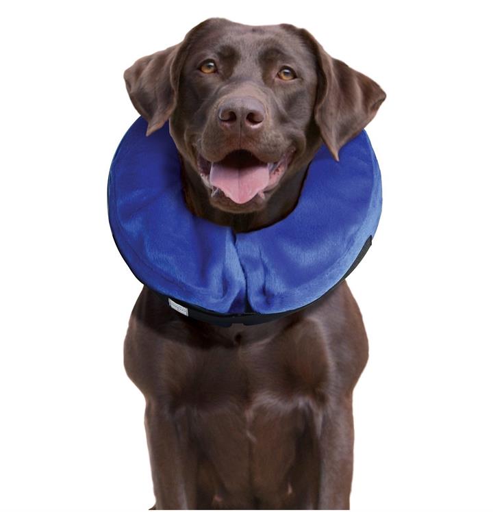 KONG Cloud Soft Elizabethan Cat and Dog Protective Medical Collar - Large