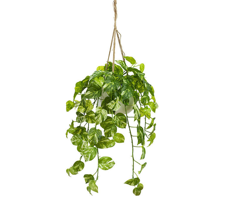 110Cm Marble Pothos Artificial Plant In A Hanging Planter Green